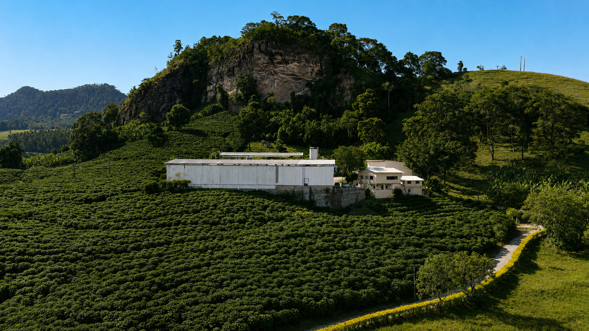 APRESENTAÇÃO 3_Easy-Resize.com